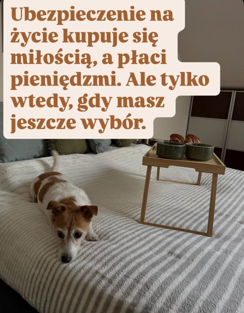 Ubezpieczenie kupuje się miłością, a płaci pieniędzmi.